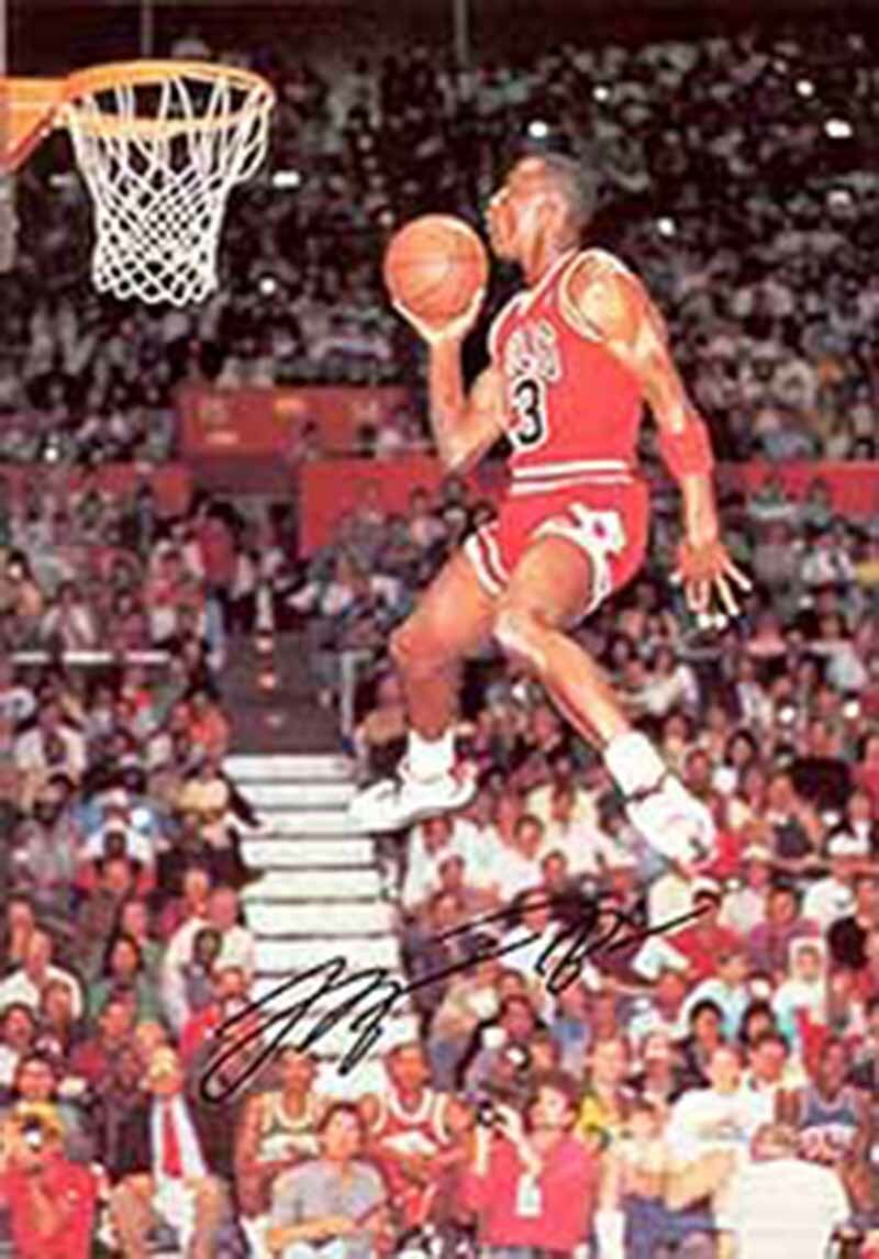 michael jordan signature dunk
